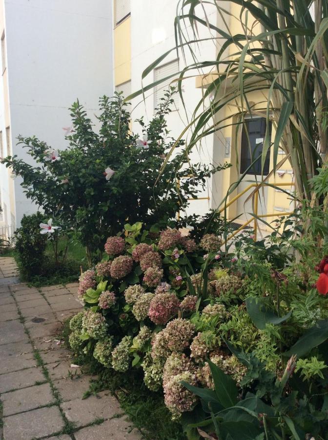 Jardim Das Flores FAO Exterior foto